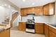 638 S Scoville, Oak Park, IL 60304