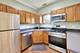 617 South Unit H, Oak Park, IL 60302