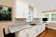 237 N Hamlin, Park Ridge, IL 60068