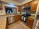 266 Greensboro Unit 5, Elk Grove Village, IL 60007