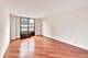 901 S Plymouth Unit 303, Chicago, IL 60605
