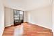 901 S Plymouth Unit 303, Chicago, IL 60605