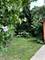 506 S Gladstone, Aurora, IL 60506