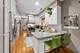 1721 W Julian, Chicago, IL 60622