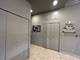 15 E Pearson Unit 3, Chicago, IL 60611
