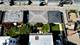 1628 W Nelson, Chicago, IL 60657