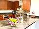 240 E Illinois Unit 1706, Chicago, IL 60611