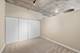 1720 S Michigan Unit 202, Chicago, IL 60616