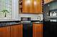 70 E Scott Unit 308, Chicago, IL 60610