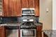 5016 S King Unit 3W, Chicago, IL 60615