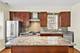 1624 W Grace Unit 1, Chicago, IL 60613