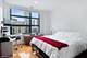 101 W Superior Unit 903, Chicago, IL 60654