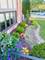 9241 Windsor, Tinley Park, IL 60487