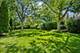 542 Wayland, Kenilworth, IL 60043