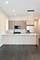 412 E 50th Unit 2, Chicago, IL 60615
