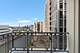 700 N Larrabee Unit 801, Chicago, IL 60654