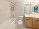 1305 S Michigan Unit 1711, Chicago, IL 60605