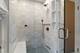 266 Greenwood, Glencoe, IL 60022