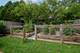 266 Greenwood, Glencoe, IL 60022