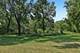 31W003 Irving Park, Elgin, IL 60120