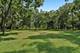 31W003 Irving Park, Elgin, IL 60120