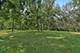 31W003 Irving Park, Elgin, IL 60120