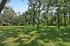 31W003 Irving Park, Elgin, IL 60120