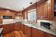 534 E Forest, Wheaton, IL 60187