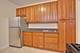 5419 S Hyde Park Unit 2, Chicago, IL 60615