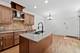 299 Arbor Glen, Schaumburg, IL 60195
