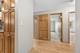 907 Curtiss Unit 304, Downers Grove, IL 60515