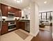 600 N Lake Shore Unit 407, Chicago, IL 60611