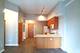 1250 S Indiana Unit 1110, Chicago, IL 60605