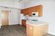 1250 S Indiana Unit 1110, Chicago, IL 60605