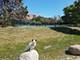 5544 E Lake Unit 76-D, Lisle, IL 60532