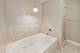 1211 S Prairie Unit 1203, Chicago, IL 60605