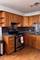 2901 S Michigan Unit 1610, Chicago, IL 60616