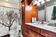 1008 Meadow, Northbrook, IL 60062