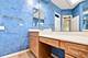 12128 Spring Creek, Huntley, IL 60142