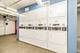 1355 N Sandburg Unit 2904, Chicago, IL 60610