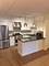 4848 N Central Unit 209, Chicago, IL 60630