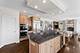 22558 Ledgestone, Frankfort, IL 60423