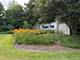 558 Telluride, Gilberts, IL 60136