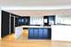 505 N Lake Shore Unit 5106-5107-5108, Chicago, IL 60611