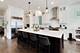 2229 W Farragut, Chicago, IL 60625