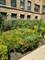 2432 W Greenleaf Unit 2, Chicago, IL 60645