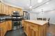 10444 S Troy, Chicago, IL 60655