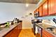 849 N Franklin Unit 1009, Chicago, IL 60610