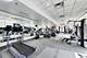 849 N Franklin Unit 1009, Chicago, IL 60610