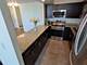 1700 E 56th Unit 2004, Chicago, IL 60637